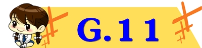 g11